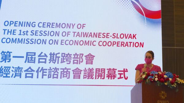 斯洛伐克派團訪問台灣，專家：歐洲小國加深對台聯繫背後有美國影子 - 俄羅斯衛星通訊社