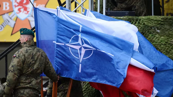 В Польше размещен батальон НАТО - 俄罗斯卫星通讯社