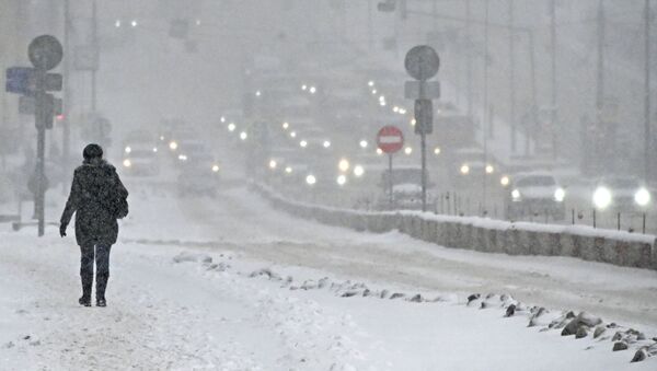 降雪导致莫斯科各机场30多个航班延误或取消 - 俄罗斯卫星通讯社