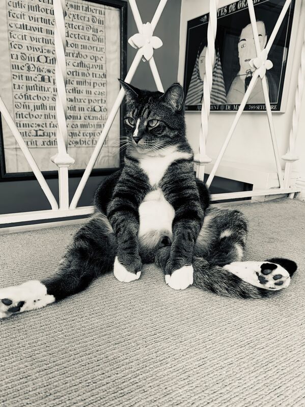 美国摄影师露西•斯莱特拍摄的作品《所以呢?(So what?)》,获得“Highly Commended Winner”类别奖。 美国摄影师露西•斯莱特拍摄的作品《所以呢?(So what?)》,获得“Highly Commended Winner”类别奖。 - 俄罗斯卫星通讯社