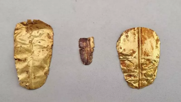 开罗出土两具距今2500年的“金舌”遗骸 - 俄罗斯卫星通讯社