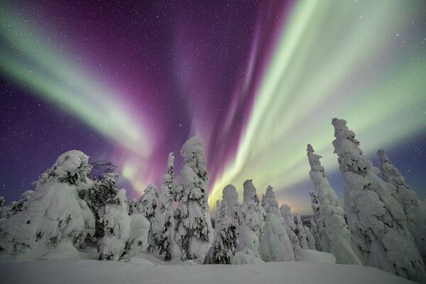 美国摄影师艾米•J•约翰逊拍摄的作品《纳尼亚传奇（Narnia）》，入选比赛25张最佳照片。 - 俄罗斯卫星通讯社