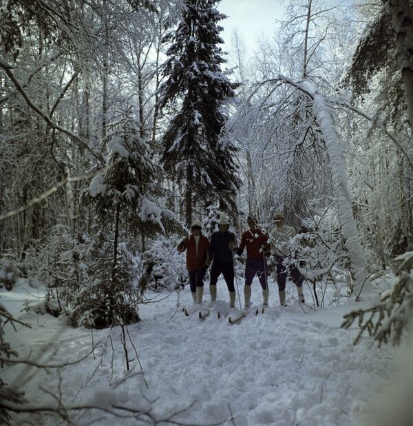  1973年，蘇聯居民在莫斯科郊外的林中滑雪。 - 俄羅斯衛星通訊社