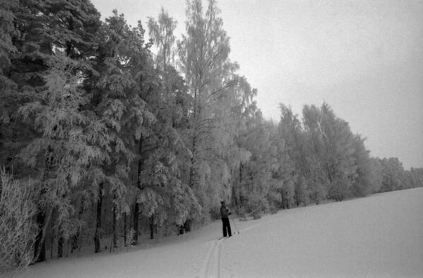  1982年，莫斯科郊外的滑雪活动。 - 俄罗斯卫星通讯社