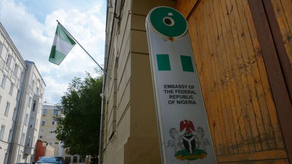 尼日利亚驻俄大使：尼总统希望在俄非峰会上与普京单独会谈 - 俄罗斯卫星通讯社