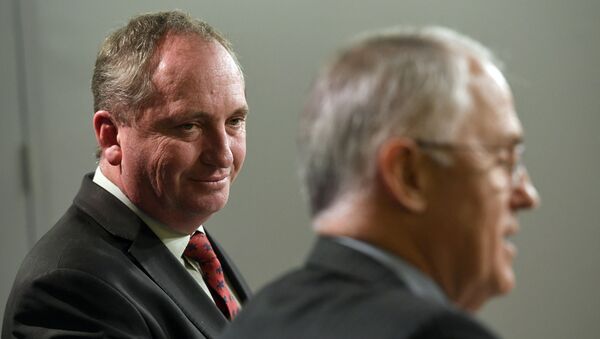 澳大利亚副总理访美期间确诊新冠 - 俄罗斯卫星通讯社