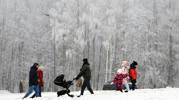 Зима в Москве - 俄罗斯卫星通讯社