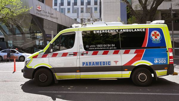 澳大利亚充气城堡悲剧致4名儿童死亡 5人住院 - 俄罗斯卫星通讯社