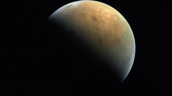 火星照片 - 俄罗斯卫星通讯社