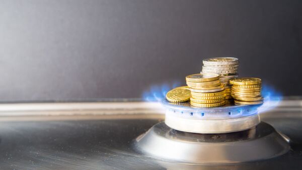 俄总统特别代表：欧洲需要俄罗斯才能应对能源海啸 - 俄罗斯卫星通讯社