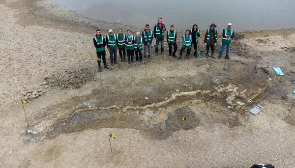 英国发现最大“海龙”化石 - 俄罗斯卫星通讯社