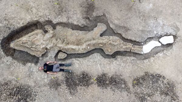 一名男子在英国发现的最大鱼龙化石旁摆造型。 - 俄罗斯卫星通讯社