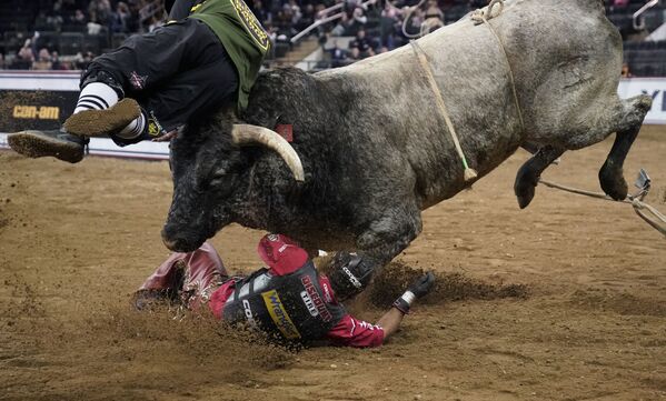 美国纽约，公牛在The Beast Monster Energy Buckoff比赛中甩下了它的骑手。 - 永利官网卫星通讯社