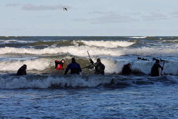琥珀獵人拿著一塊在皮奧涅爾斯基市波羅的海沿岸發現的天然金屬。 - 俄羅斯衛星通訊社