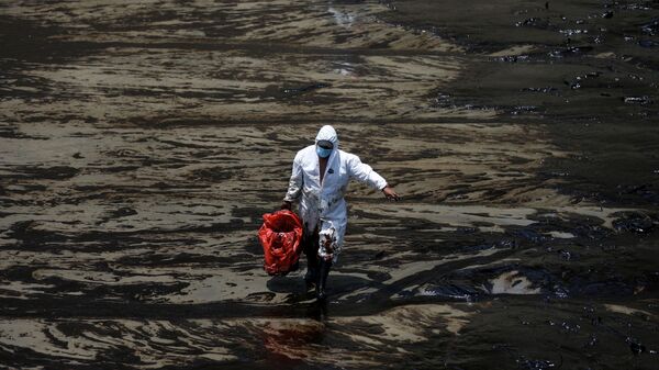 汤加海啸导致秘鲁大规模漏油 - 俄罗斯卫星通讯社