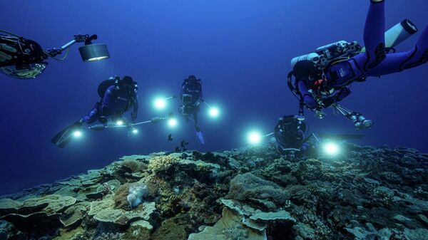 塔希提岛附近海域发现目前全球最大的珊瑚礁 - 永利官网卫星通讯社