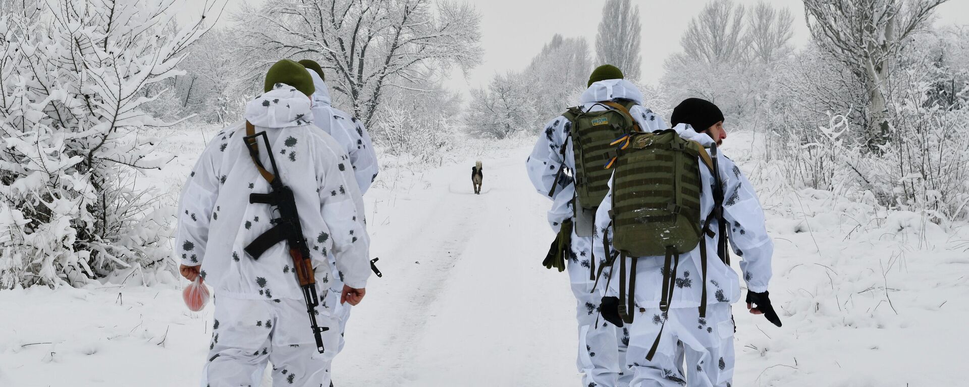 顿涅茨克人民共和国：乌克兰强力人员正在为进攻做准备 - 俄罗斯卫星通讯社, 1920, 24.01.2022