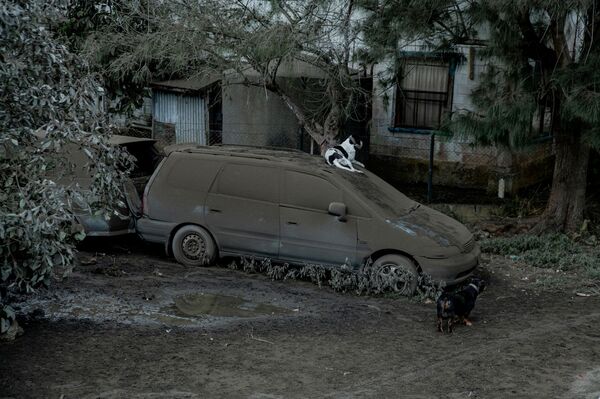 在落满火山灰的汽车。 - 俄罗斯卫星通讯社