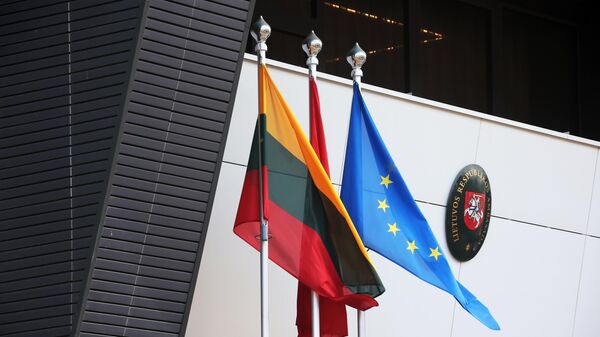 欧盟因立陶宛向WTO对华提起诉讼 专家：象征意义较大，效果有限 - 俄罗斯卫星通讯社