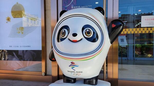 媒體：中國因舉辦奧運會 冬季運動裝備的需求急劇增高 - 俄羅斯衛星通訊社