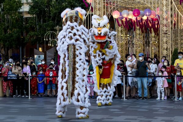 中國傳統舞獅者在曼谷商貿中心前表演。 - 俄羅斯衛星通訊社