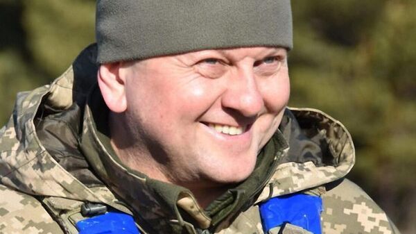 埃隆·马斯克称泽连斯基为屠夫并称赞乌克兰武装部队总司令扎卢日内 - 俄罗斯卫星通讯社