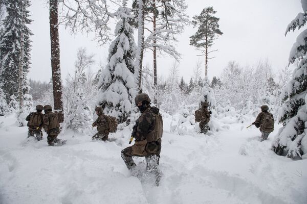 法軍人員在愛沙尼亞塔帕軍營參加軍演。 - 俄羅斯衛星通訊社