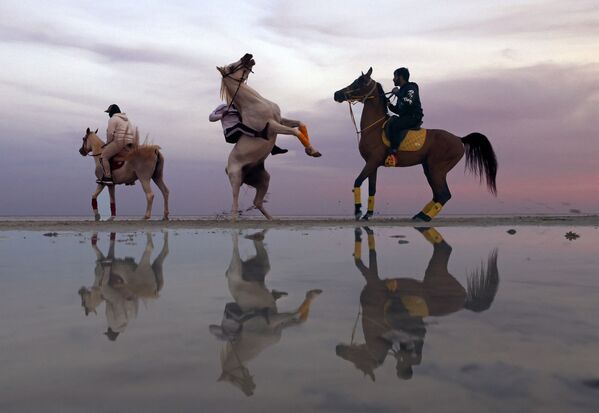 幾名阿聯酋人在阿布扎比日落時分騎馬，2022年2月8日。 - 俄羅斯衛星通訊社
