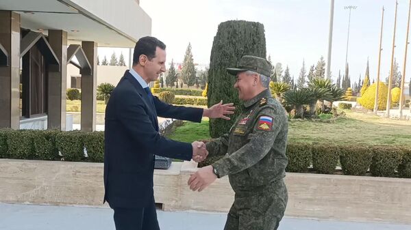 绍伊古与叙利亚总统举行会面 - 俄罗斯卫星通讯社