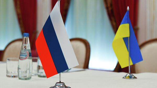意大利前总理：泽连斯基无法一人决定如何解决乌克兰冲突 - 俄罗斯卫星通讯社