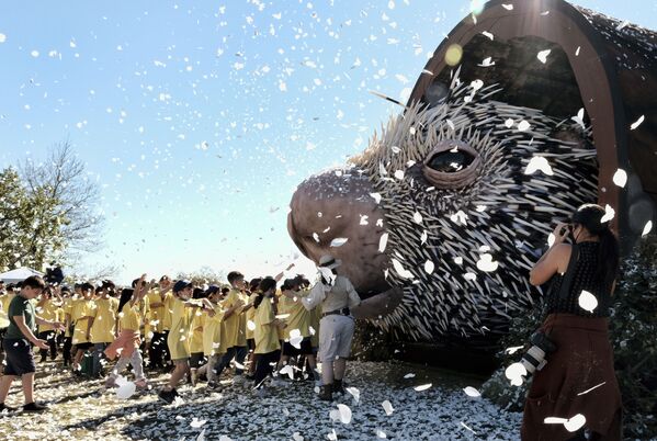 洛杉矶小学生争相观看巨型豪猪玩偶。 - 俄罗斯卫星通讯社