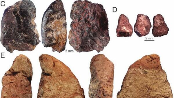 中國考古學家發現距今4萬年前人類使用顏料的證據 - 俄羅斯衛星通訊社