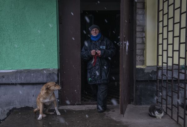 夏斯季耶市居民走出房屋。 - 俄罗斯卫星通讯社