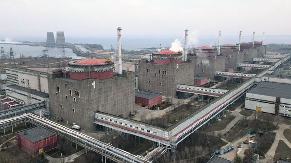 国际原子能机构总干事：扎波罗热核电站局势不稳 - 俄罗斯卫星通讯社