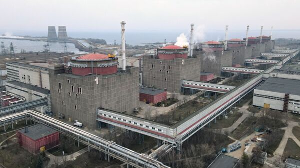 乌军炮击扎波罗热核电站附近区域是有预谋的挑衅行为 - 俄罗斯卫星通讯社