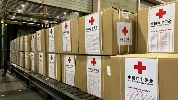 俄红十字会会长：俄红十字会分支机构与中国红十字会签署紧急援助协议 - 俄罗斯卫星通讯社