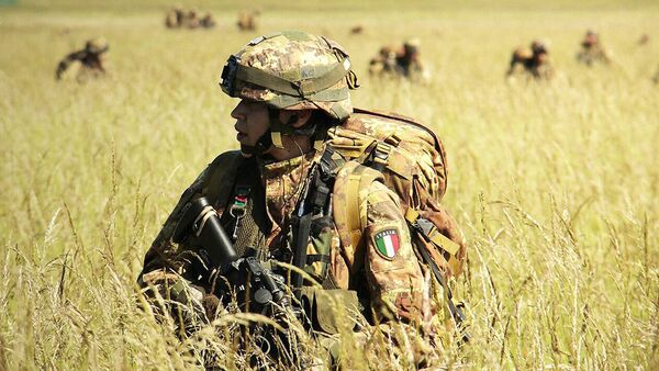 媒体：意大利计划每年将国防开支增加约GDP的0.15% - 俄罗斯卫星通讯社