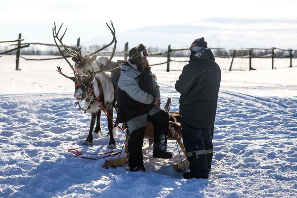 摩尔曼斯克州“冻土带”农场里的养鹿人。 - 俄罗斯卫星通讯社
