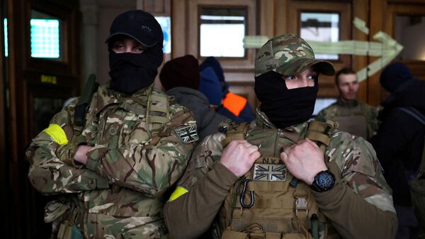 雇佣军在乌克兰 - 俄罗斯卫星通讯社