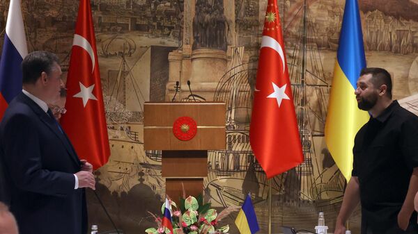 土俄乌与联合国粮食问题会议将于本周在伊斯坦布尔举行