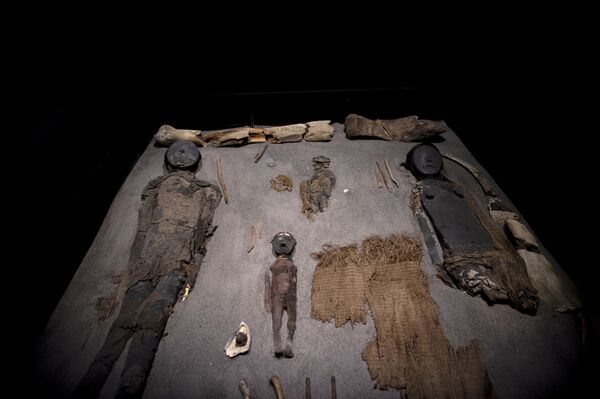新克罗木乃伊于2022年3月24日在智利的圣米格尔德阿萨帕考古博物馆展出。 - 俄罗斯卫星通讯社
