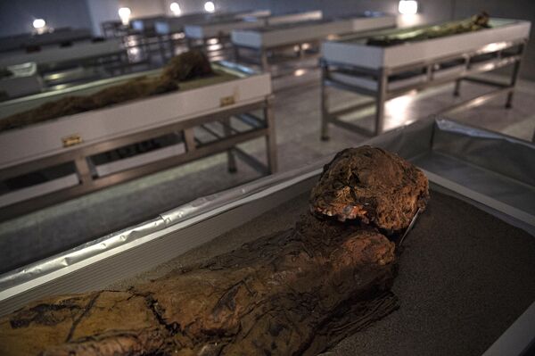 新克羅木乃伊於2022年3月24日在智利的聖米格爾德阿薩帕考古博物館展出。 - 俄羅斯衛星通訊社