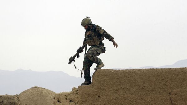 消息人士：美国准备将前阿富汗军队军人派往乌克兰 - 俄罗斯卫星通讯社