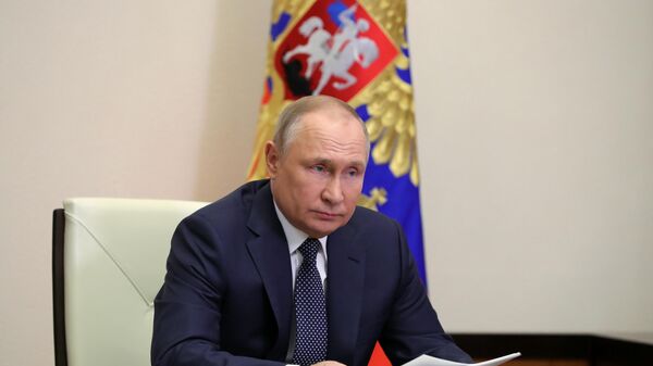 普京與奧地利總理的會談開始 - 俄羅斯衛星通訊社