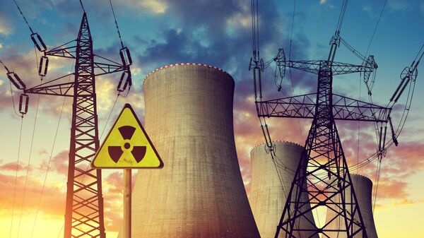 国际原子能机构不排除埃及可能从埃尔达巴核电站出口电力 - 俄罗斯卫星通讯社