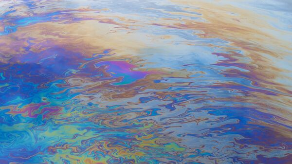 生态学家：对伊朗的战争可能给环境带来灾难性后果 - 俄罗斯卫星通讯社