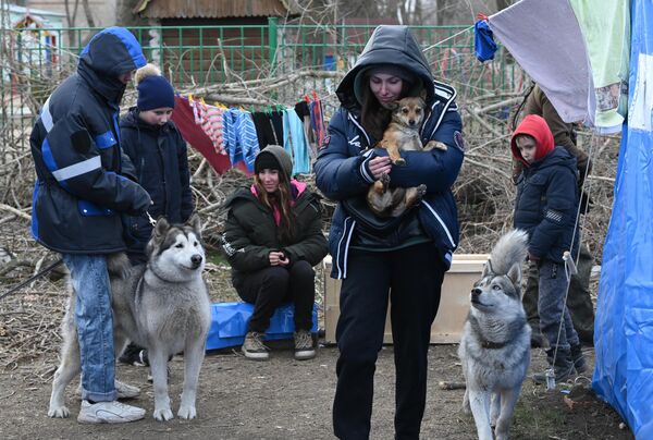 來自馬里烏波爾的難民在由頓涅茨克人民共和國緊急情況部設置的臨時避難所與狗玩耍。 - 俄羅斯衛星通訊社