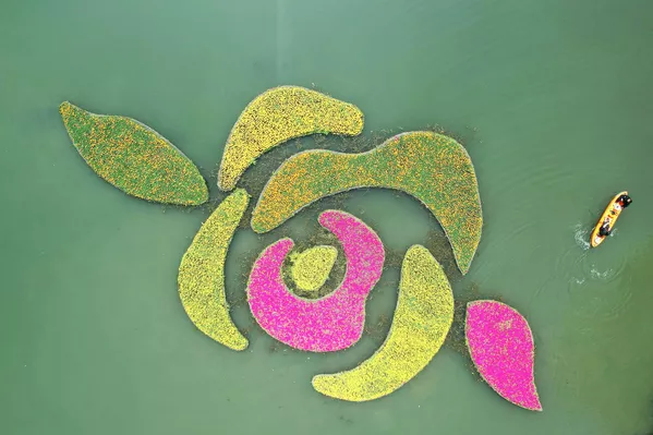 杭州西溪國家濕地公園,2022年3月30日。 杭州西溪國家濕地公園,2022年3月30日。 - 俄羅斯衛星通訊社