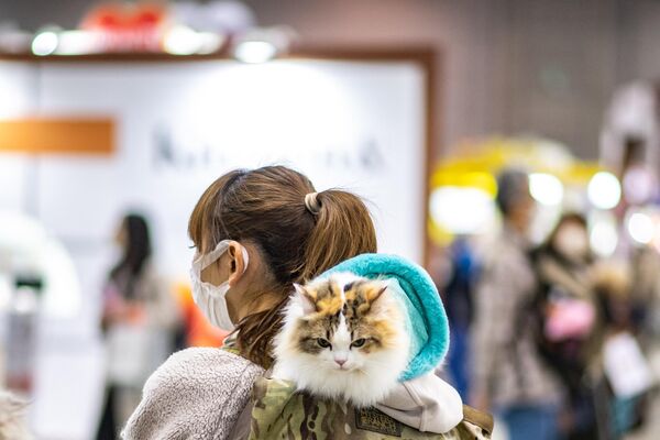 2022 -Interpets日本国际宠物用品展于3月31日-4月3日在东京举行。图为参加展览的萌宠。 - 俄罗斯卫星通讯社