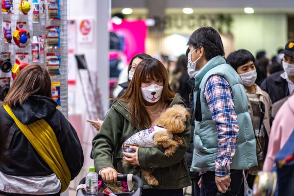 日本国际宠物用品展于3月31日-4月3日在东京举行。图为参加展览的萌宠。 - 俄罗斯卫星通讯社